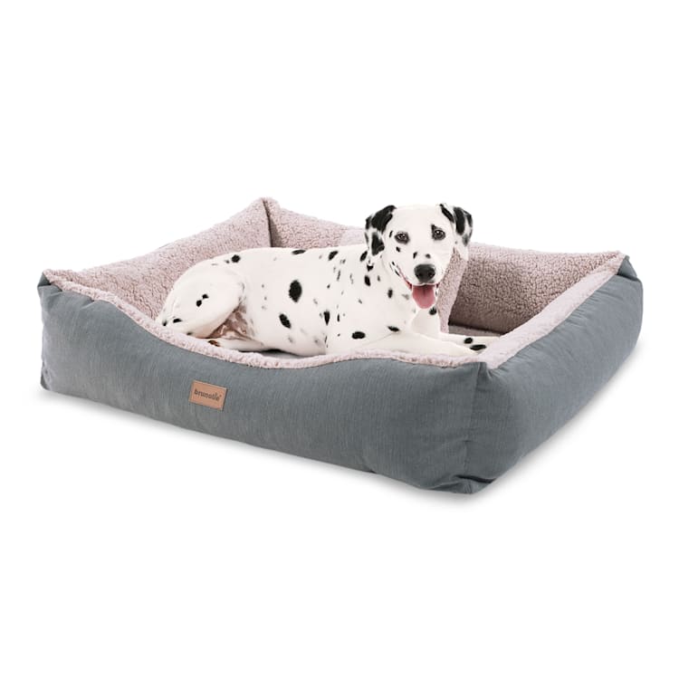 Cama & Cesto P/ Cães Emma/ Lavável/ Antiderrapante/ Respirável/ Colchão reversível/ Almofada/ Tamanho M (80 x 20 x 70 cm) M | Creme Vintage