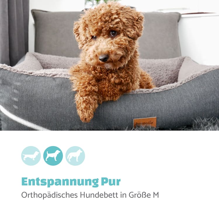 Emma Hundebett Hundekorb | waschbar | rutschfest | atmungsaktiv | Wendematratze | Kissen | Größe M (80 x 20 x 70 cm) M | Grau
