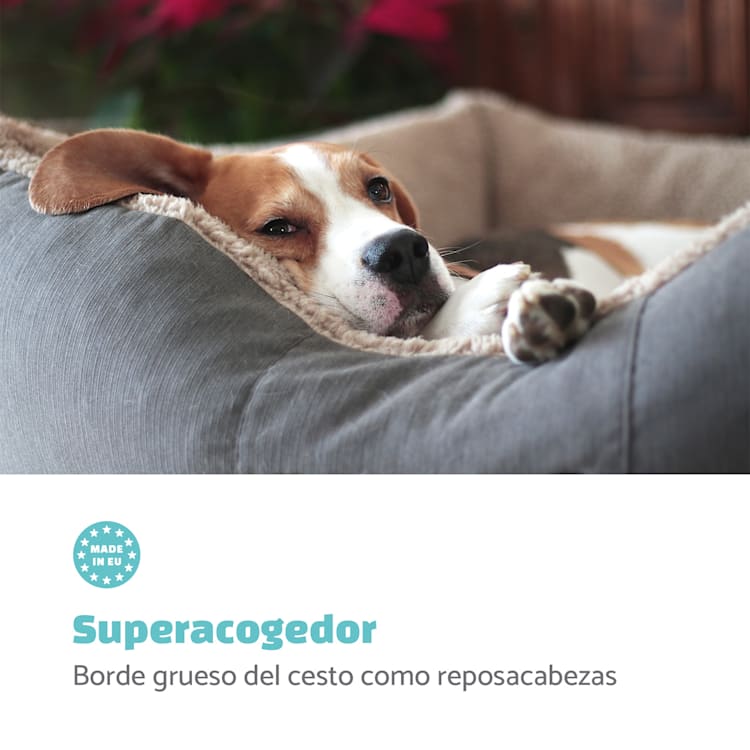 Emma Cama para perros Cesta para perros | Lavable | Antideslizante | Transpirable | Colchón reversible | Cojín | Tamaño M (80 x 20 x 70 cm) M | Gris