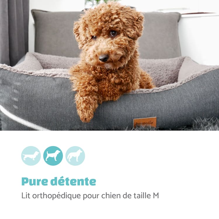 Emma lit pour chien panier lavable antidérapant respirant matelas réversible coussin Taille M (80 x 20 x 70 cm) M | Gris