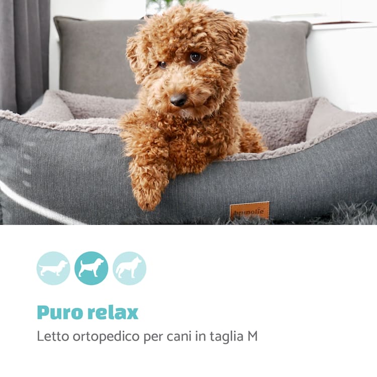 Emma, Lettino per Cani, Divanetto per Cani | Lavabile | Antiscivolo | Traspirante | Reversibile | Cuscino | Taglia M (80x20x70 cm) M | Grigio
