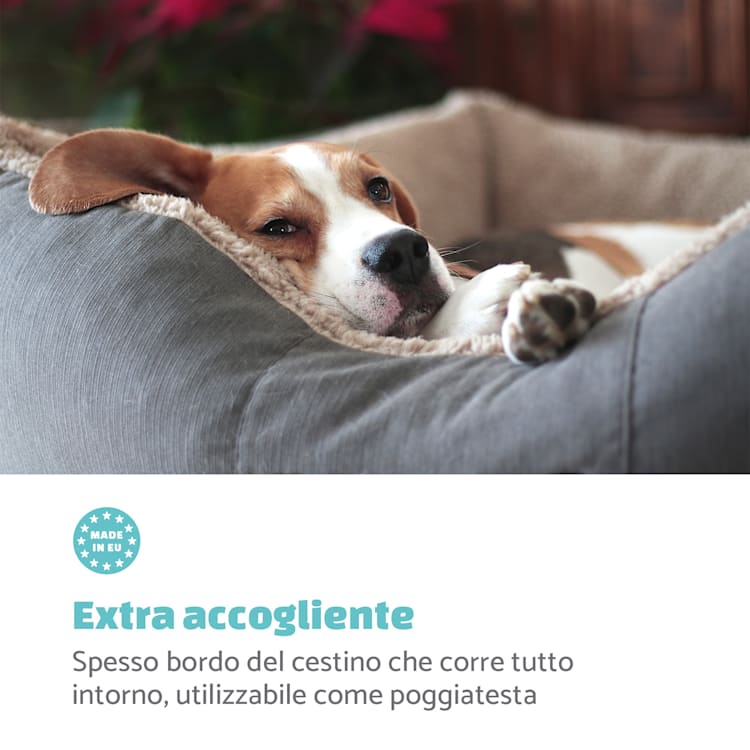 Emma, Lettino per Cani, Divanetto per Cani | Lavabile | Antiscivolo | Traspirante | Reversibile | Cuscino | Taglia M (80x20x70 cm) M | Grigio