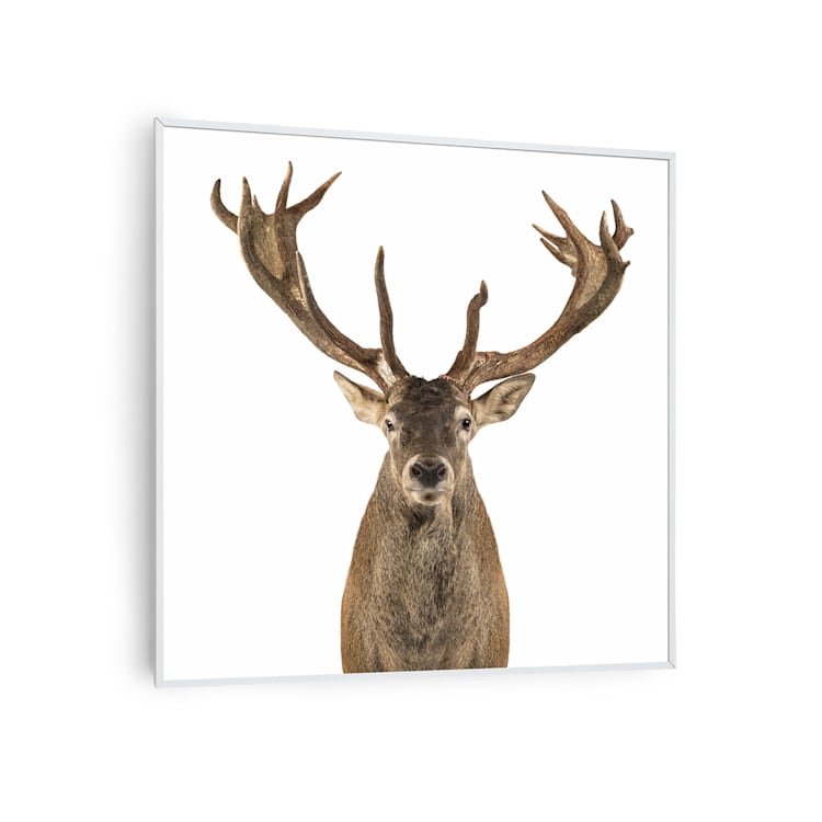 Wonderwall Air Art Smart Infrarotheizung Hirsch 60x60cm 350W weißer Rahmen 60 x 60 cm | Hirsch, weißer Rahmen