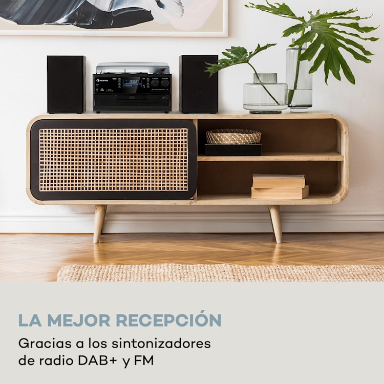 Equipo estéreo Oakland DAB Retro DAB+/FM Función BT Vinilo CD Cassette Negro