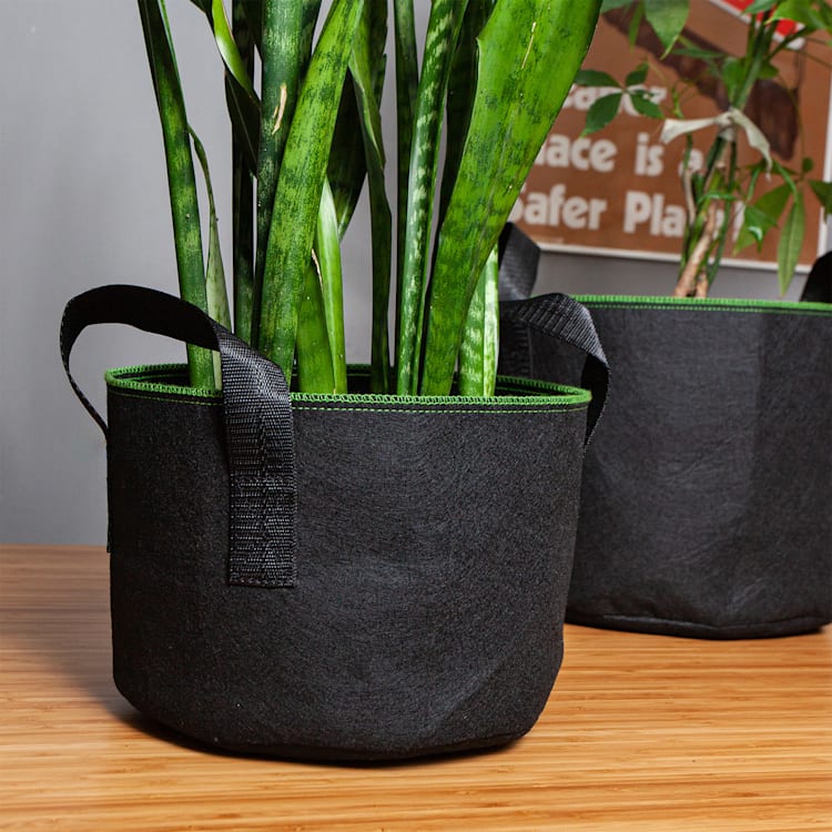 Pflanzsack Set 5 Stück 20 Liter Vlies mit Henkeln 20 Ltr