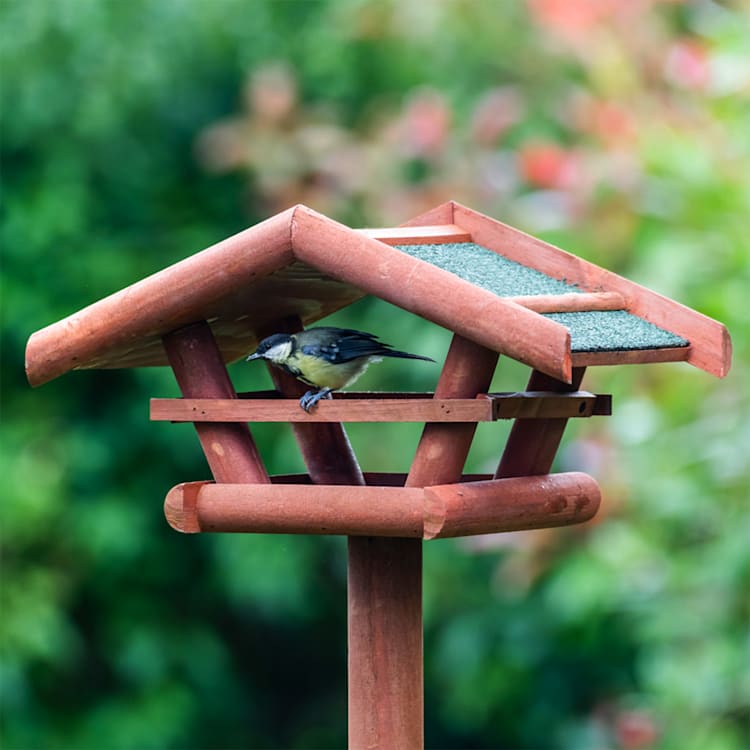Vogelhaus mit Standfuß wetterfeste Dachpappe behandeltes Pinienholz