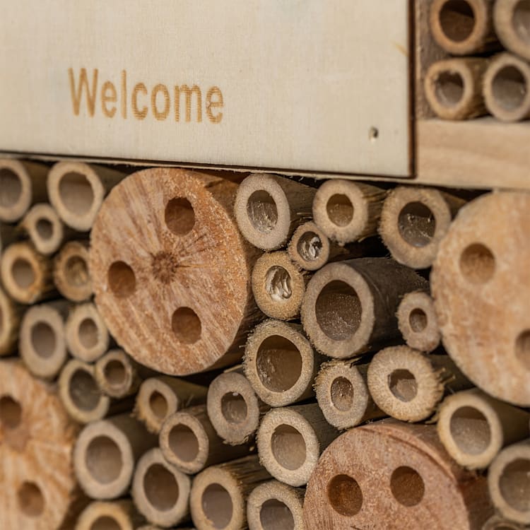 Hotel pentru insecte cu acoperiș plat, agățare, locuibil pe tot parcursul anului, lemn acoperis plat