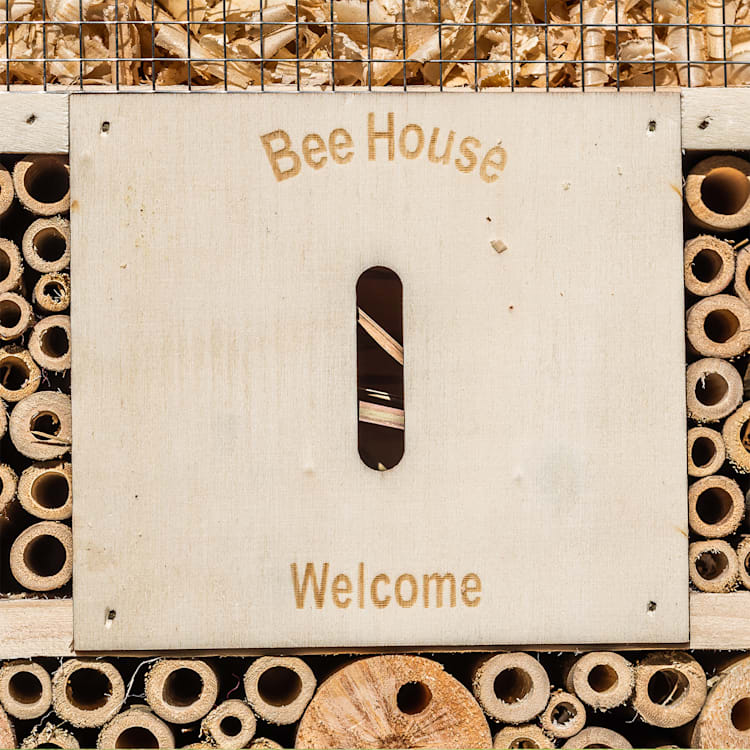 Hotel pentru insecte cu acoperiș plat, agățare, locuibil pe tot parcursul anului, lemn acoperis plat