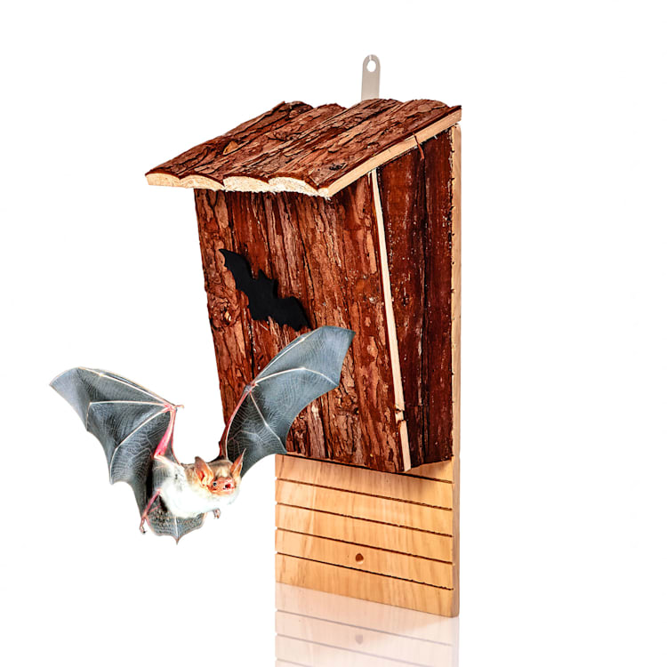 Nichoir pour chauve-souris habitable toute l'année aide à l'hivernage en bois de sapin
