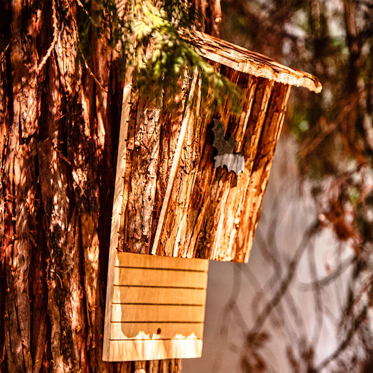 Nichoir pour chauve-souris habitable toute l'année aide à l'hivernage en bois de sapin