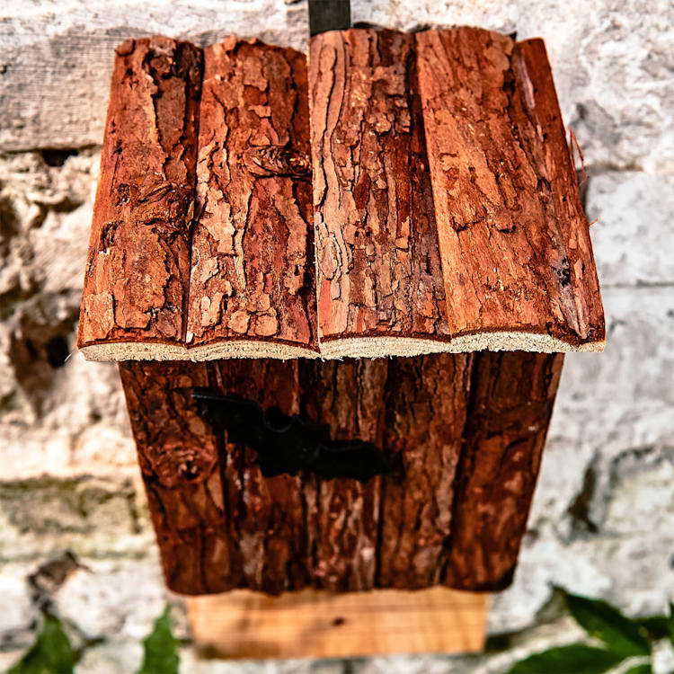 Nichoir pour chauve-souris habitable toute l'année aide à l'hivernage en bois de sapin