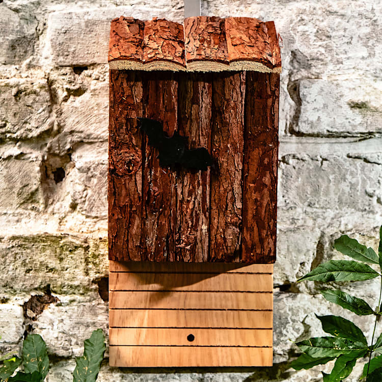 Nichoir pour chauve-souris habitable toute l'année aide à l'hivernage en bois de sapin