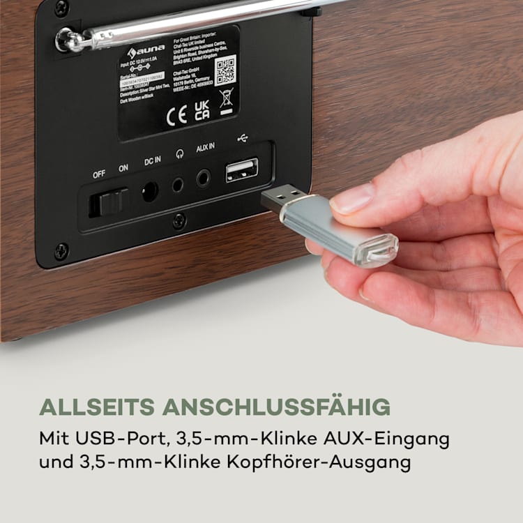 Silver Star Mini Two Internet DAB+/FM Radio, WiFi, BT, TWS Speaker Silber / Schwarz