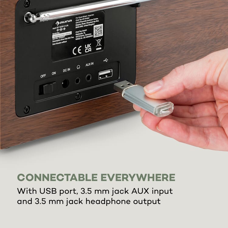 Silver Star Mini Two, internetové DAB+/FM rádio, WiFi, BT, TWS reproduktor Strieborná čierna