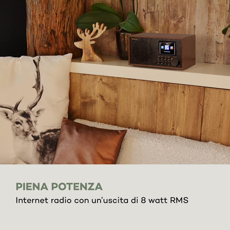 Silver Star Mini - Radio web/DAB+/FM, WiFi, BT, USB, controllo tramite app Noce/Nero