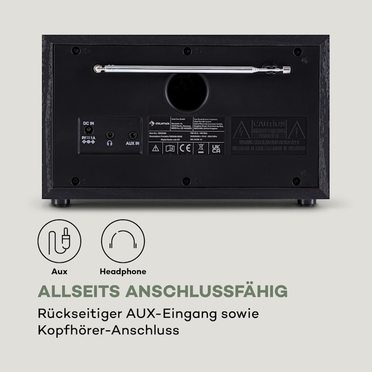 Ambient DAB+/FM Radio BT 5.0 AUX-In LC-Display Wecker Eieruhr Schwarz