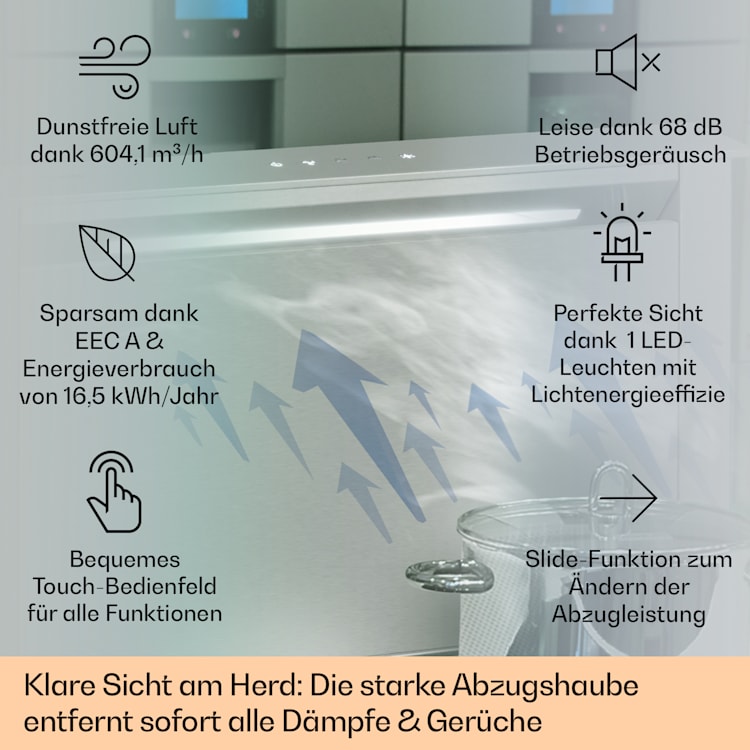 Royal Flush Eco Dunstabzugshaube 60 cm 576 m³/h A+ 60 cm | Edelstahl | Edelstahl