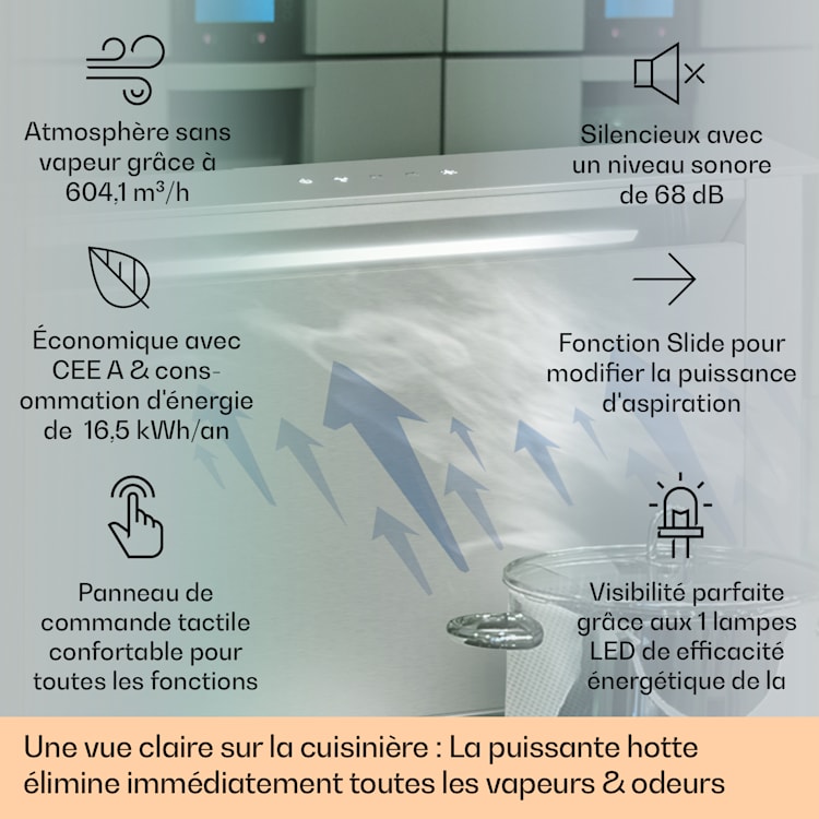 Hotte aspirante Royal Flush Eco 60 cm 576 m³/h A+ 60 cm | Acier Inoxydable | Acier Inoxydable