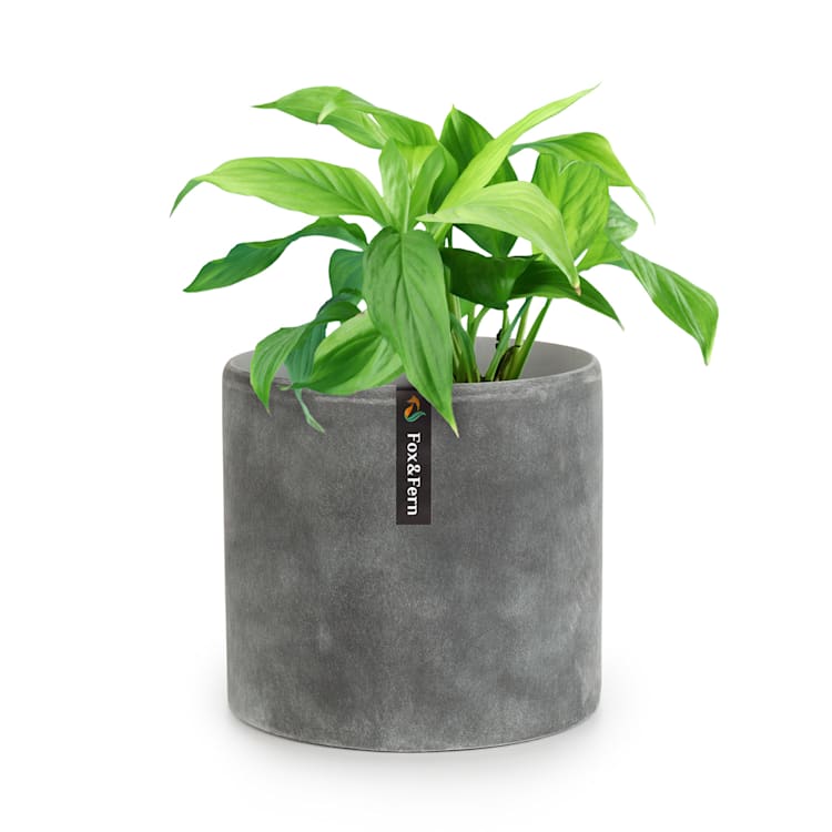 Maceta Venlo de polystone para interior y exterior 3 tamaños S (Ø 20,3 cm) | hormigón