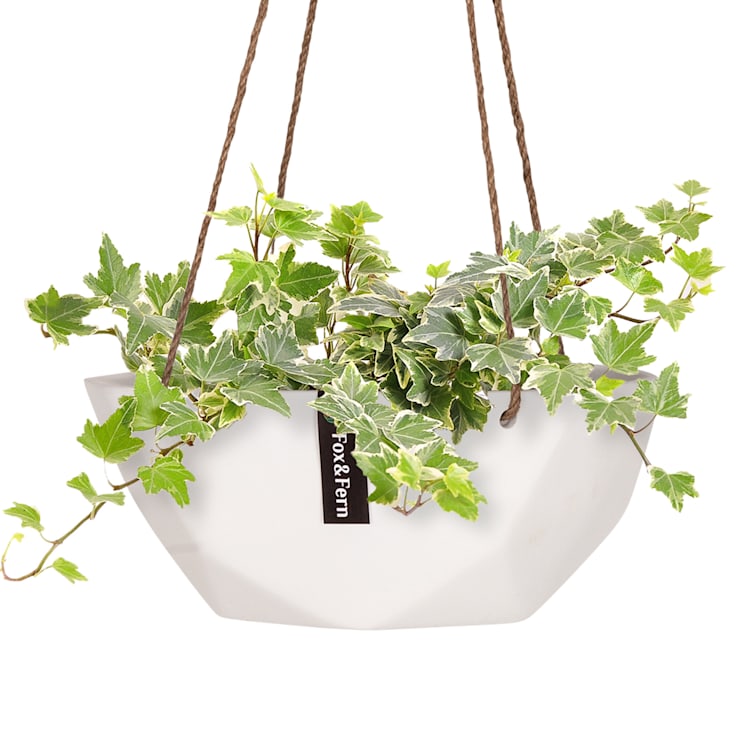 Laren Blumenampel Ø 28 cm Polystone mit Naturseilen