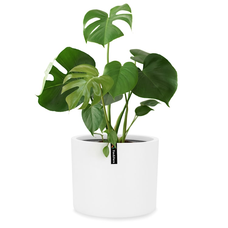 Bloempot buitenpot vezelsteen in/outdoor M (Ø 25,4 cm)