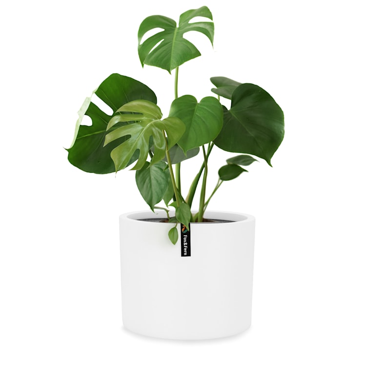 Pflanztopf Übertopf Faserstein In/Outdoor L (Ø 30,48 cm)