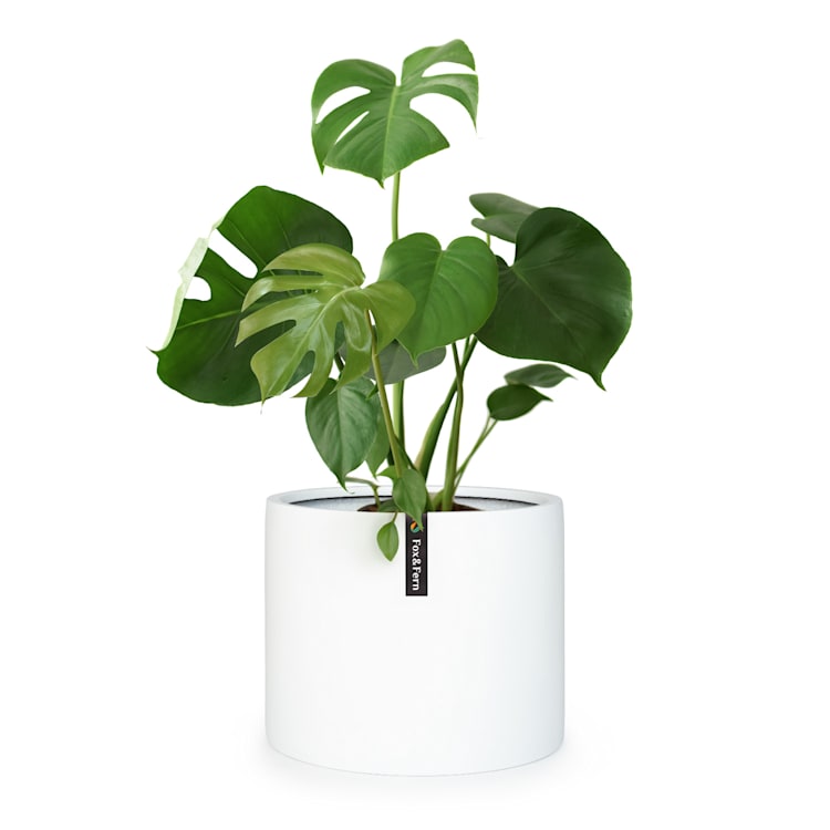 Fioriera, vaso per piante, fiberstone, interni/esterni