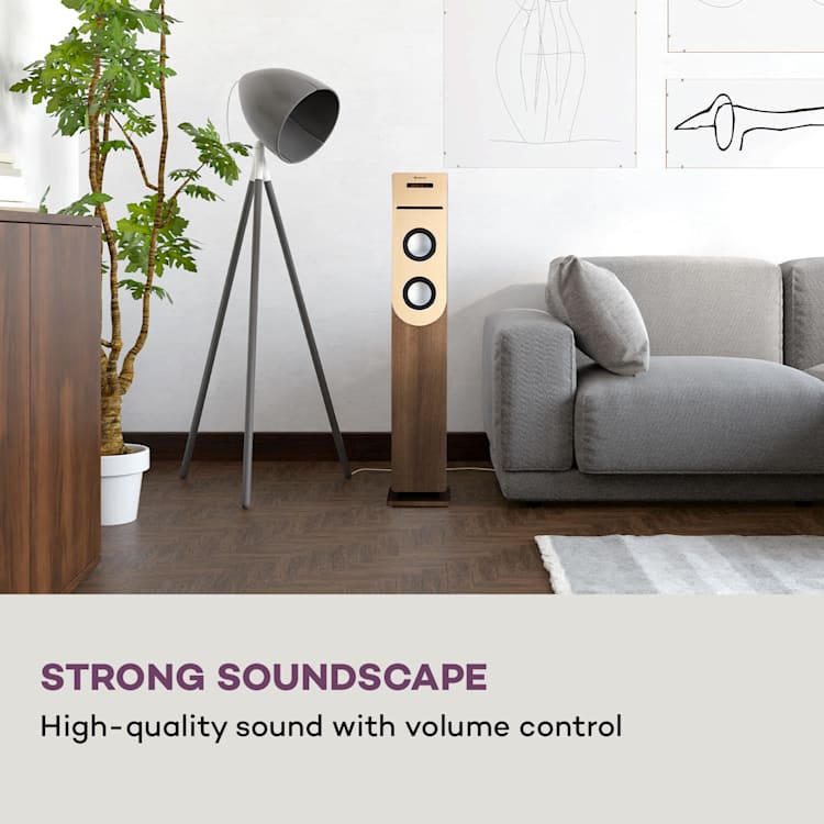 Berklee - Altoparlante a torre, 2 x 10 W RMS, radio FM, lettore CD, Bluetooth, porte USB e SD/MMC