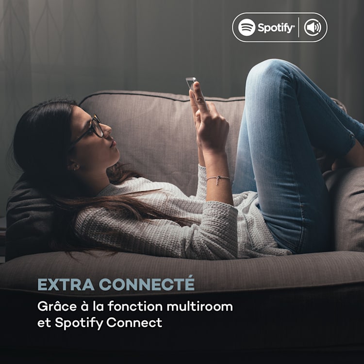 Chaîne stéréo Système Connect 40 watts max. Radio Internet/DAB+/ FM Lecteur CD Argent