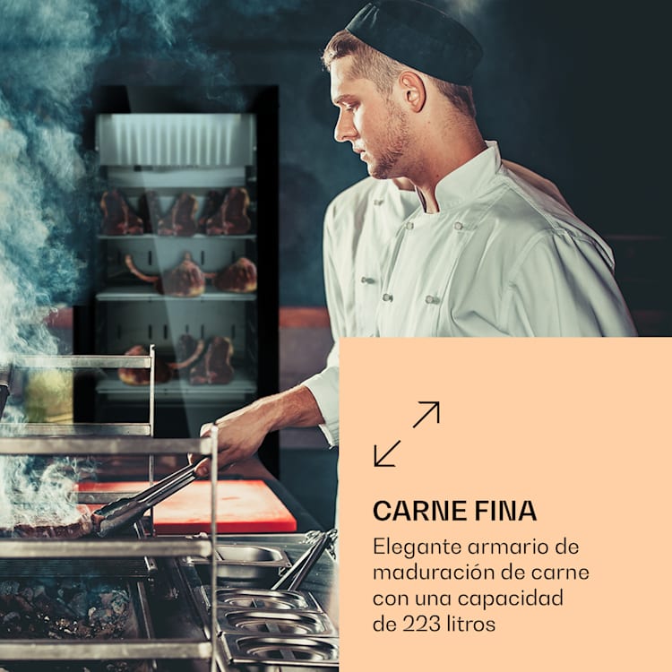 Steakhouse Pro 233 Onyx armario de maduración de carne 1 zona 233 L 1-25 °C táctil panorámico Negro