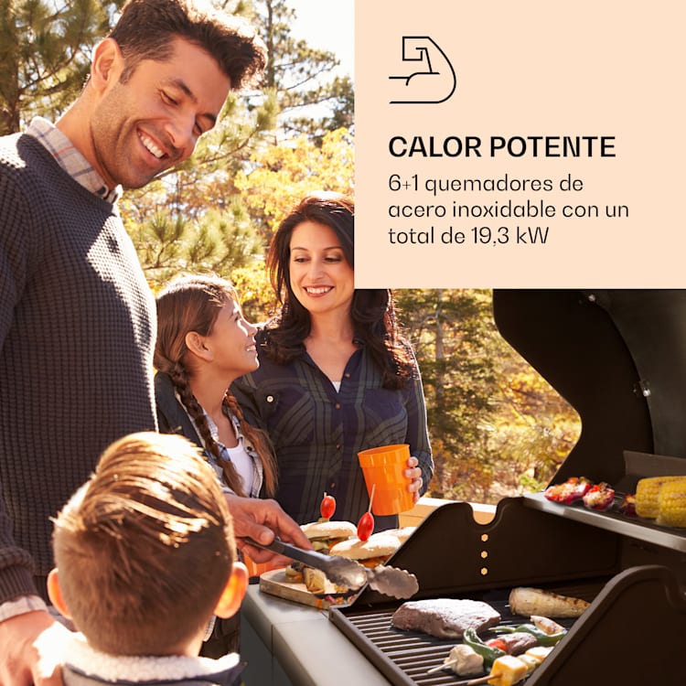 Valdosta 6.1 Parrilla de gas 6+1 quemadores 19,3 kW potencia total 6 quemadores principales + 1 quemador lateral