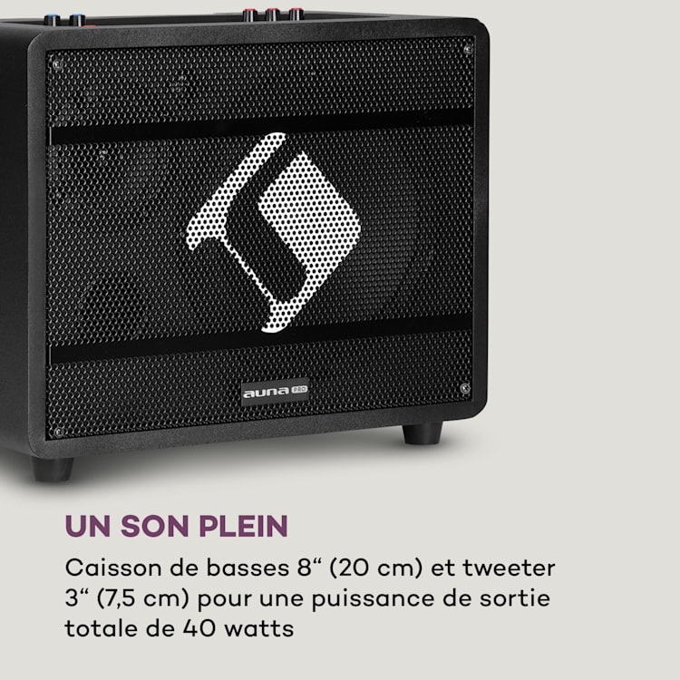 Système karaoké Pro Spin 8 12,1" écran tactile 2UHF Mic WiFi BT USB TF HDMI