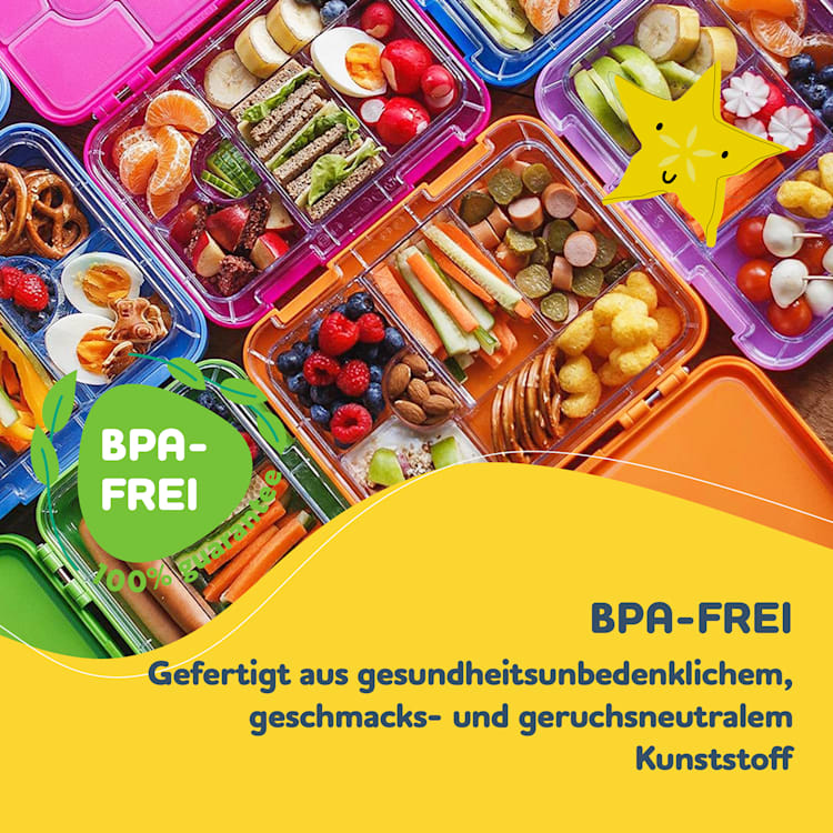 junior Einsatz für Lunchbox 6 Fächer Ersatz/Zubehör BPA-frei