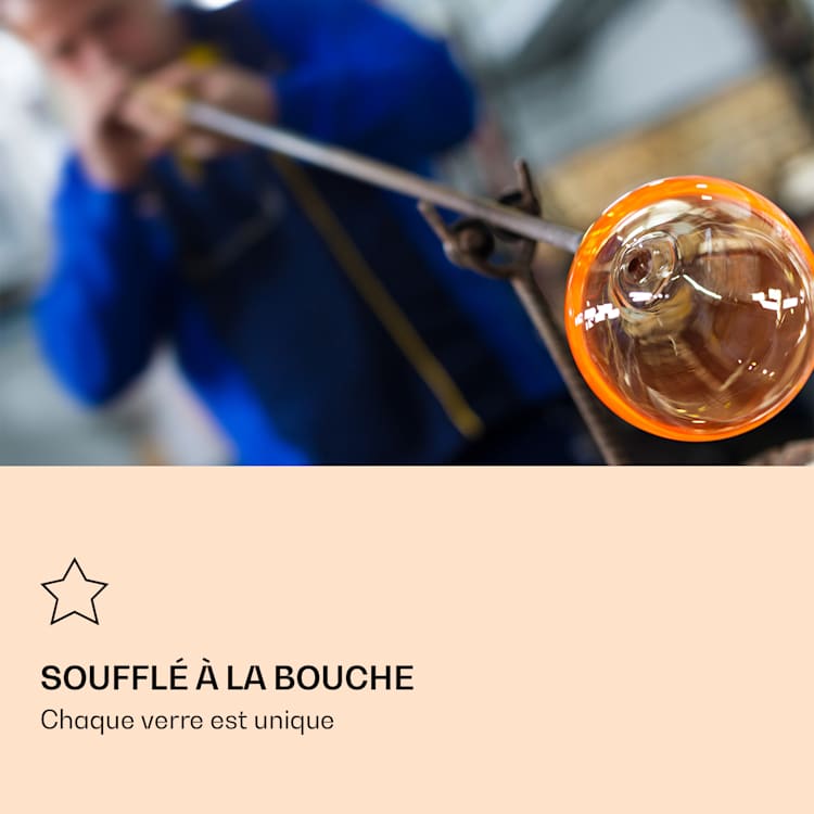 Verre Ice avec fleur de thé 320 ml verre borosilicate double paroi ensemble de 6