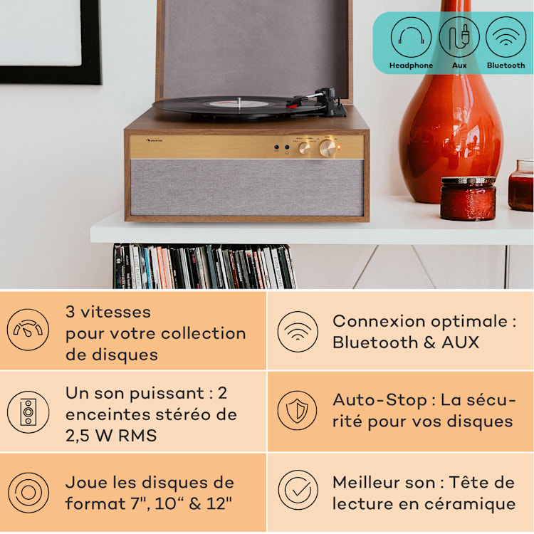 Platine vinyle Berklee TT Case entraînement par courroie 33 1/3 & 45 T/min enceintes stéréo bois bois
