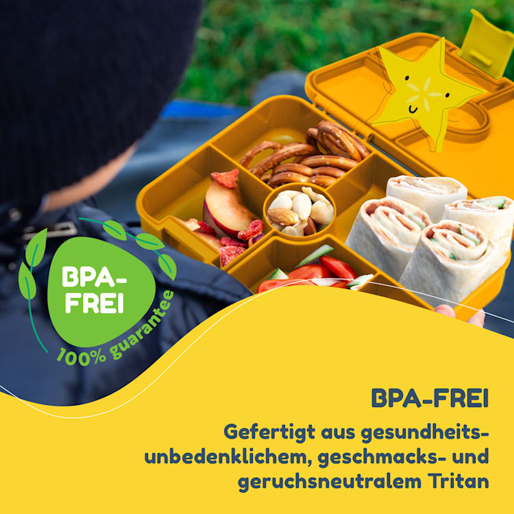 schmatzfatz by Klarstein Lite Lunchbox 6 Fächer 20,8x4,5x15 cm BPA-frei Tritan Orange