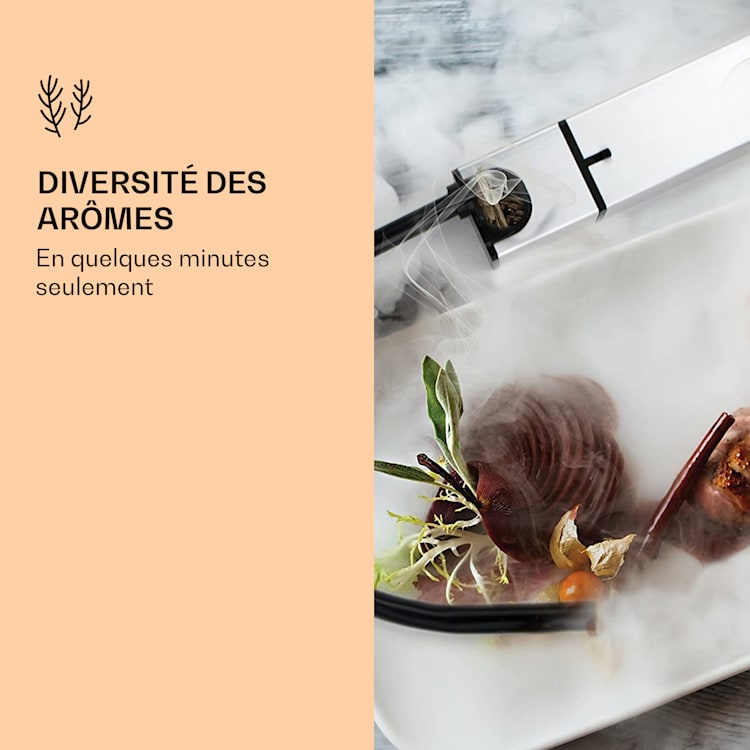 Fumoir à cocktail Company également pour aliments fonctionnant sur piles