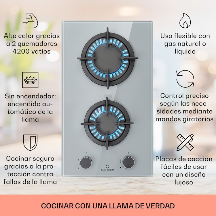 Firetale Placa de gas de 2 zonas Quemador de aluminio Gas natural/gas propano Incl. manguera y reductor de presión 2 fogones | Gris