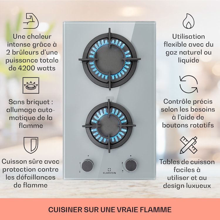 Firetale gaskookplaat 2-pits aluminium brander aardgas/propaangas incl. slang en drukregelaar 2 branders | Grijs