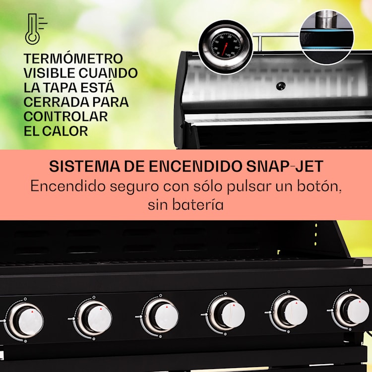 Valdosta 6.1 Parrilla de gas 6+1 quemadores 19,3 kW potencia total 6 quemadores principales + 1 quemador lateral