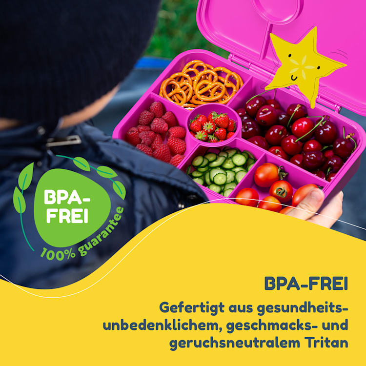 schmatzfatz by Klarstein Lite Lunchbox 6 Fächer 20,8x4,5x15 cm BPA-frei Tritan Purple Sun