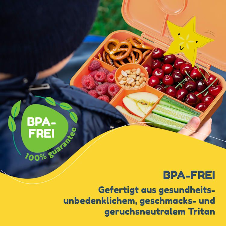 schmatzfatz by Klarstein Lite Lunchbox 6 Fächer 20,8x4,5x15 cm BPA-frei Tritan Orange Forest
