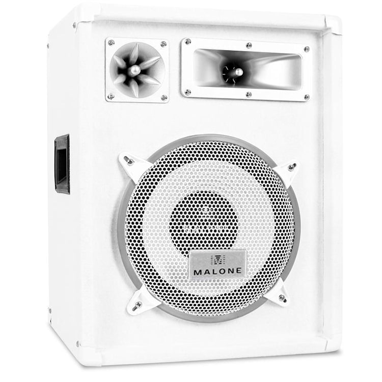 PW-1222 paar PA-boxen luidspreker 1200W 30 cm