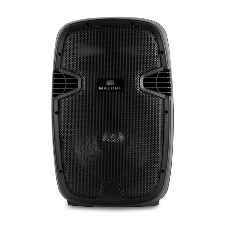 PW-2112 actieve PA-luidspreker 30 cm (12") 300W