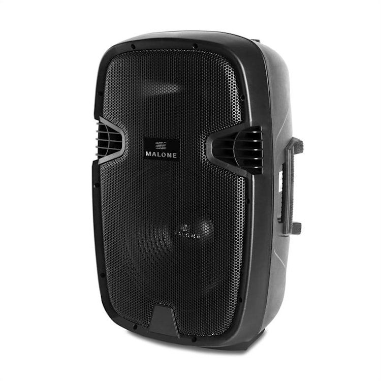 PW-2112 actieve PA-luidspreker 30 cm (12") 300W
