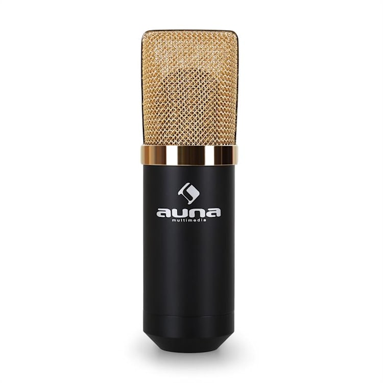MIC-900BG Set Microfoni USB Condensatore V5 Anti-Pop Oro