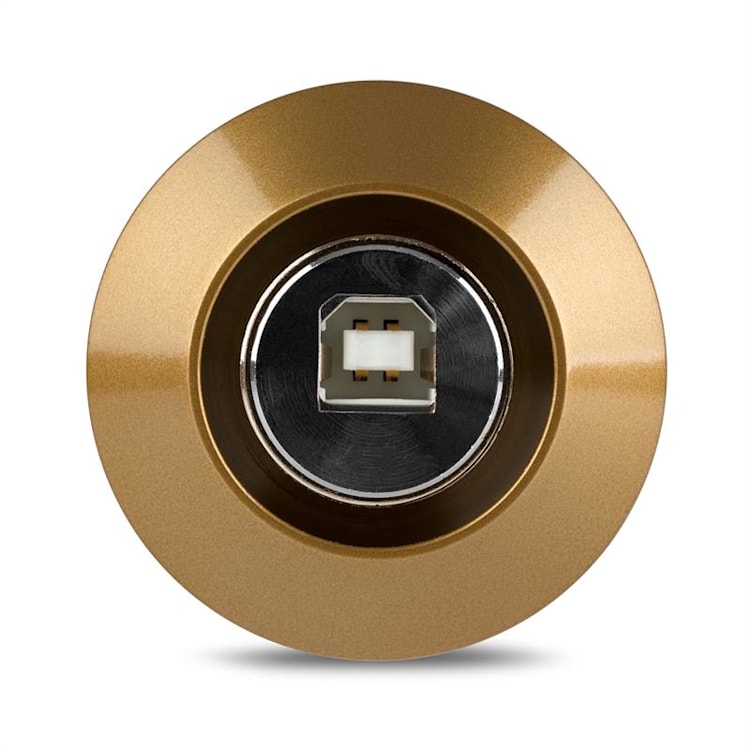 MIC-900G Set Microfoni USB Condensatore V5 Anti-Pop Oro