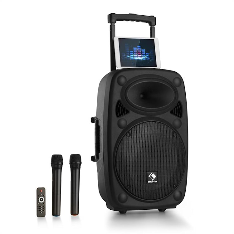 Streetstar 15 Impianto PA 15" Set 2 xAste Per Microfoni 15"