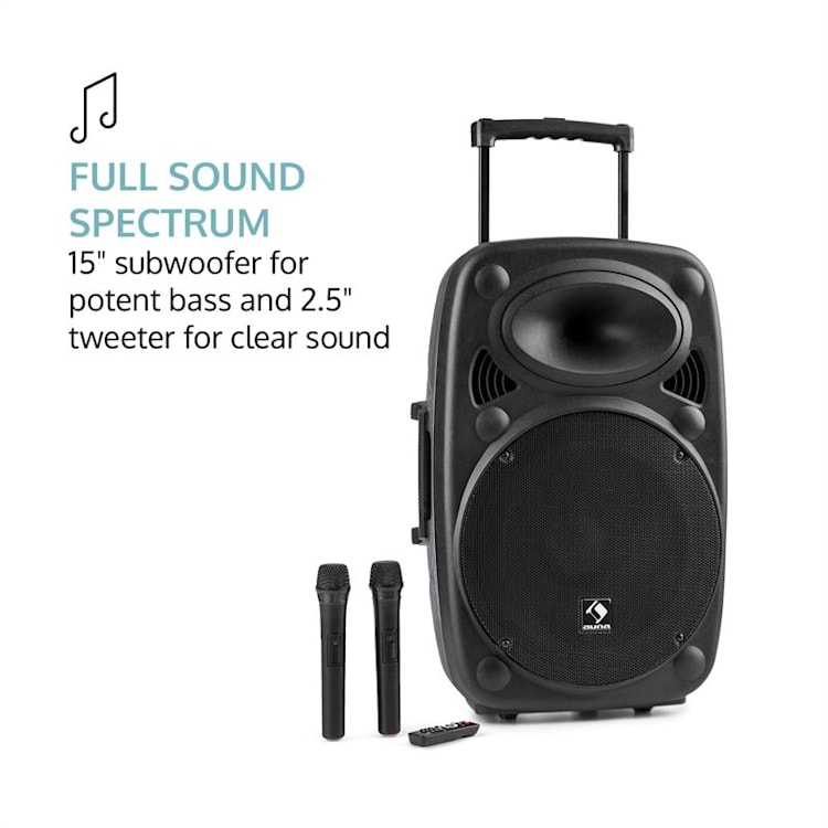 Streetstar 15 Impianto PA 15" Set 2 xAste Per Microfoni 15"