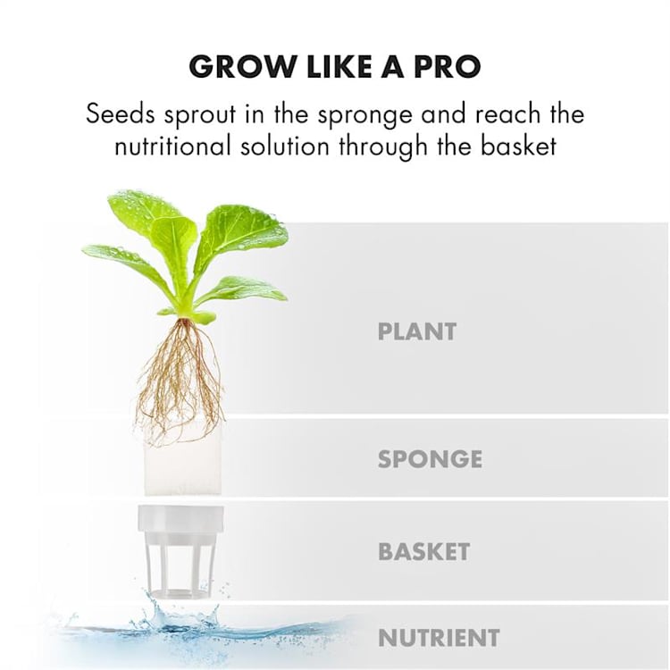 GrowIt Cuisine Starter Kit Europa 12 Plants LED Europe Seeds Nutrient Solution